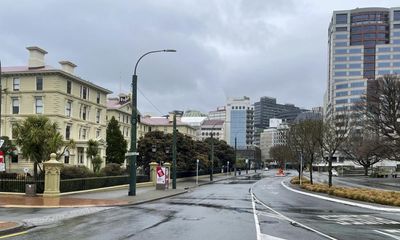 Every street lamp in Wellington at risk of falling down, residents warned
