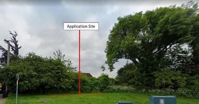 Anger at company's bid to erect '50-foot high metal obscenity' near primary school