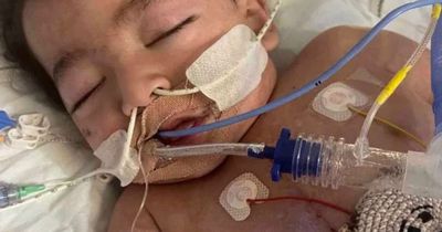 Baby 'fights for life' in ICU with heart infection as mum fears it could 'destroy' him