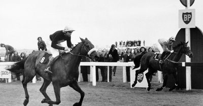Grand National: How Red Rum saved the world's greatest race after costly error
