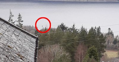 Loch Ness Monster 'captured in new pic' after tourist spots 'long neck' in water