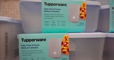 Tupperware on the brink of collapse unless it secures emergency funding