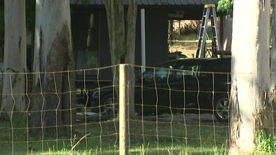 Three children attacked by dogs in less than a week in separate incidents across Queensland