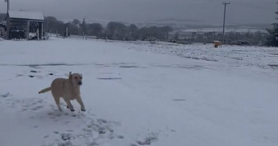 Storm Noa: Snow falls in parts of Ireland as storm continues to rage