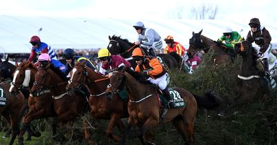 British Horseracing Authority unhappy after being snubbed from GMB's Grand National debate