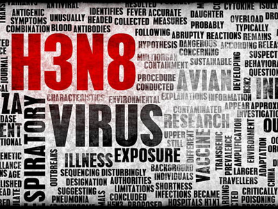 H3N8 virus: 56-year-old dies of Avian influenza A(H3N8) in China; know the symptoms, severity of this viral infection
