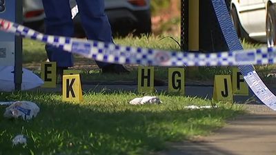 Brisbane man Brendyn Clark, who repeatedly shot two people in Sunnybank Hills, on trial for attempted murder