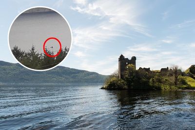 The Loch Ness monster? Tourist photographs 'huge neck' in Scottish loch