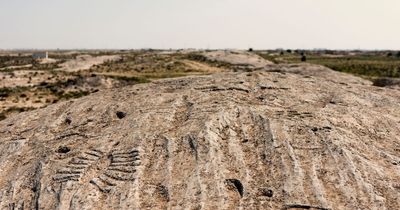 Mystery symbol found in desert carved into rock leaves archaeologists puzzled