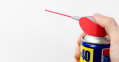 People are just discovering what WD-40 stands for after sharing bizarre guesses