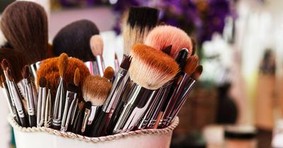 Eye-opening study shows make-up brushes can be dirtier than TOILET seats