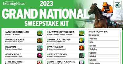 Grand National 2023 sweepstake kit: Print yours free for the big race