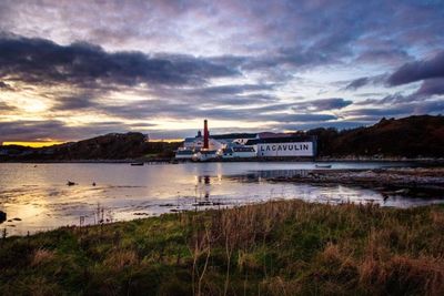 Island distilleries operating ‘hand to mouth’ due to ferry disruption, industry warns