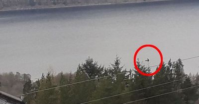Nessie ‘sighting’ as tourist snaps mysterious shape with ‘huge neck’ on loch