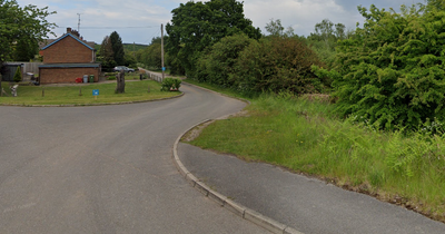 Nottinghamshire girl assaulted during 'horrific attack' at skate park