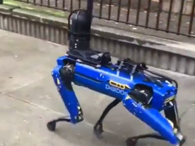 RoboCop? No, RoboDog: Robotic dog rejoins New York police