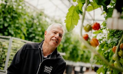 ‘There will be fewer British tomatoes on the shelves’: soaring energy costs force growers to quit