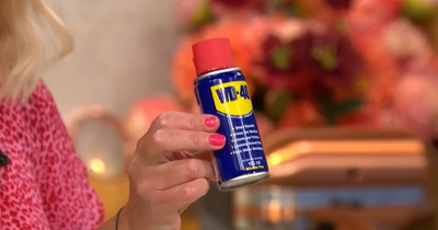 People share funny guesses as they try to figure out what WD-40 stands for