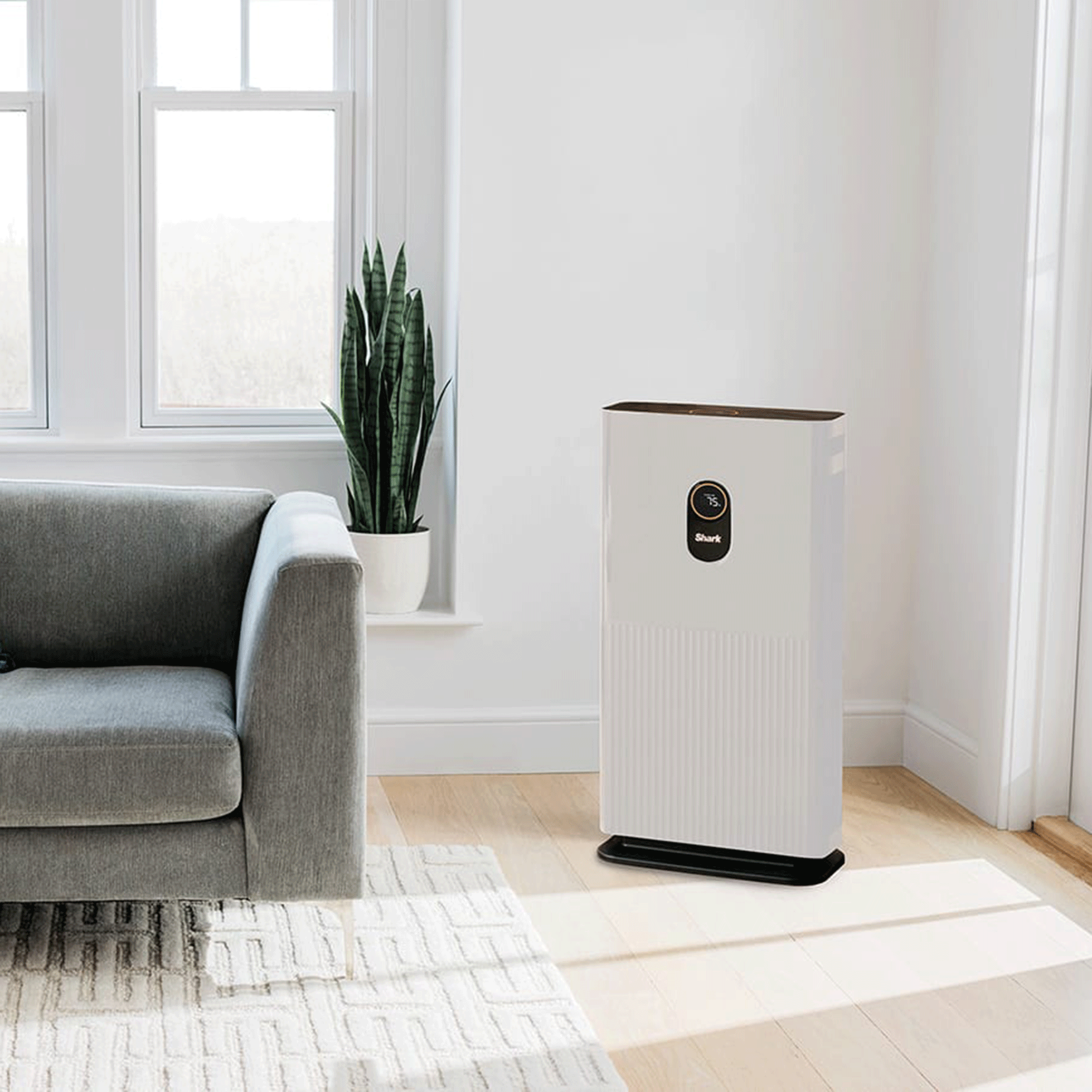 This Editor-loved Shark air purifier is currently reduced by an incredible £250