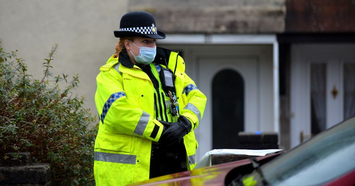 Five more dogs seized in Caerphilly in police…