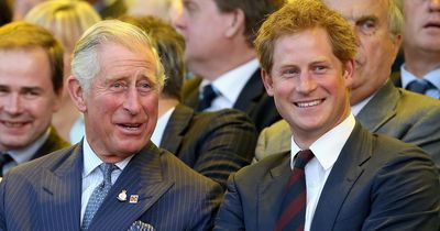 Prince Harry was convinced to attend King Charles' Coronation due to massive 'fear'