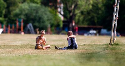 The hay fever remedies that actually work according to science