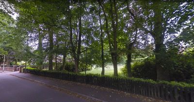 Wildlife fears over 'risk' to trees if villa plans approved