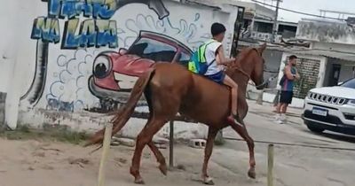 Boy, 11, filmed riding horse to school after his bike had flat tyre