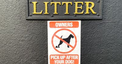 Anger over 'horrific' dog fouling in one Merseyside area