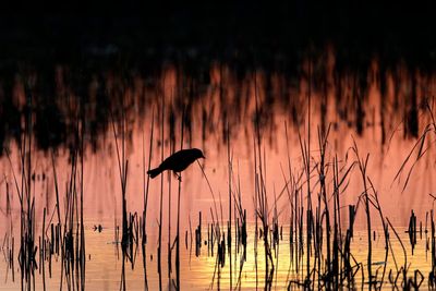 Judge blocks rules intended to protect nation's waterways