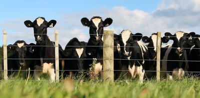 Why using more fertiliser and feed does not necessarily raise dairy farm profits but increases climate harm