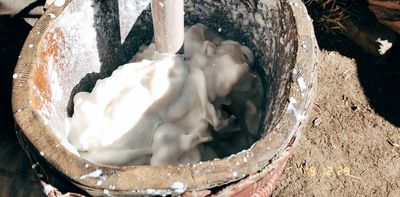 How milk tamed the Third Pole: research reveals a 3,500-year history of dairy consumption on the Tibetan Plateau