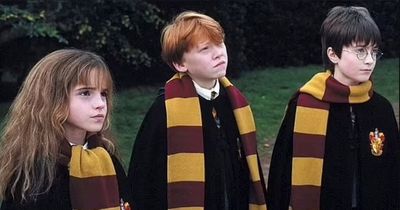 Harry Potter TV series officially in the works HBO confirm - but fans vow to boycott