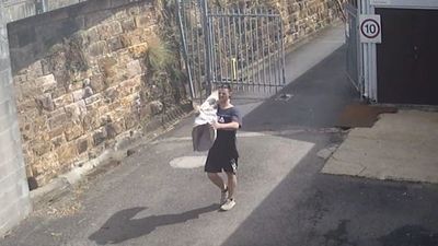 Police search for man who allegedly stole two inoperable rifles from Queensland Maritime Museum