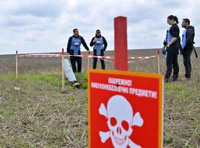 Ukraine farmer risks life clearing shells from fields