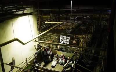Seven charged over activist blockade at abattoir