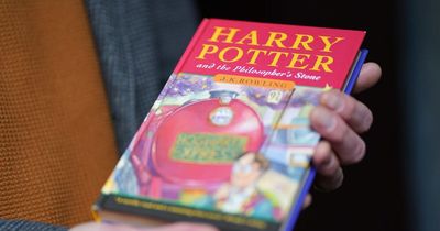 Harry Potter rebooted as book series will be remade with new cast