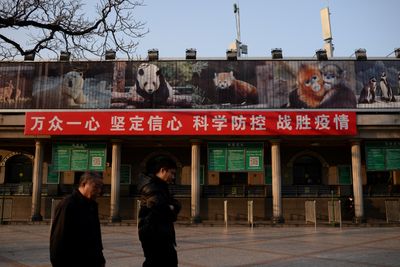 Exclusive-China out of UN's wildlife survey for pandemic controls - source