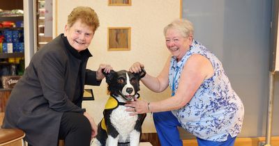 Rescue dog who brought joy to South Shields hospital patients honoured with statue
