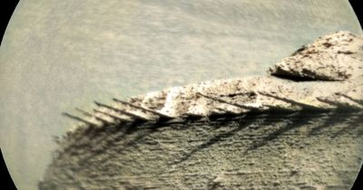 NASA finds 'dragon bones' on Mars