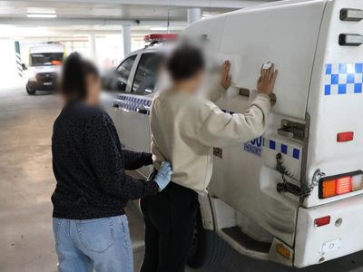 Govt employee granted bail after alleged kidnap plot