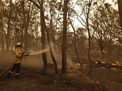 Inquiry into Black Summer bushfire set to resume