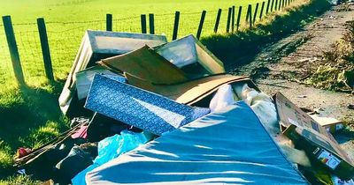Piles of rubbish dumped in Falkirk country road force it to close