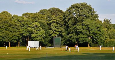 Local cricket: Love Lane Liverpool Competition Division One preview