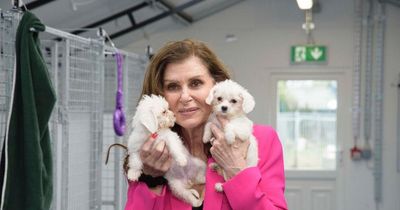 Eurovision legend Linda Martin says people buying from puppy farms are fuelling abandoned dog problem