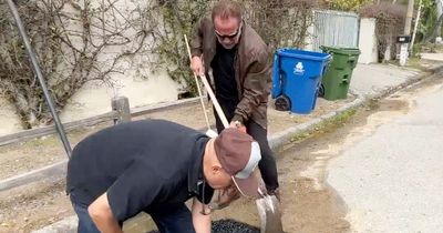 Arnold Schwarzenegger's good deed backfires as he fills in 'giant pothole'