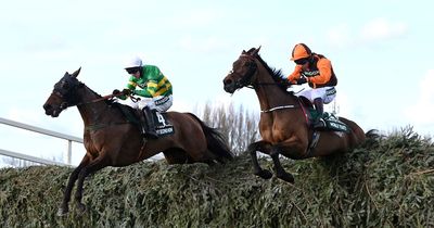 Full list of Grand National runners and riders 2023 pinstickers' guide - all the horses, odds and tips