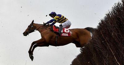 Grand National 2023 betting odds, tips and favourites for all the runners and riders