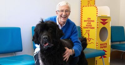 Sneak peek of ITV1's Paul O'Grady For the Love of Dogs shows new series is typically lush