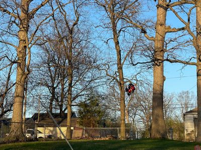 1 dead, 3 hurt at Indiana park during memorial for slain man